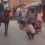 मधेपुरा के उदाकिशुनगंज के एसडीएम एसजेड हसन ने घोड़े पर बेठ के लोगों से उठक-बैठक करवाई