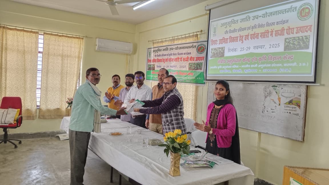 नर्सरी तकनीकों में निपुणता प्राप्त कर रहे किसान