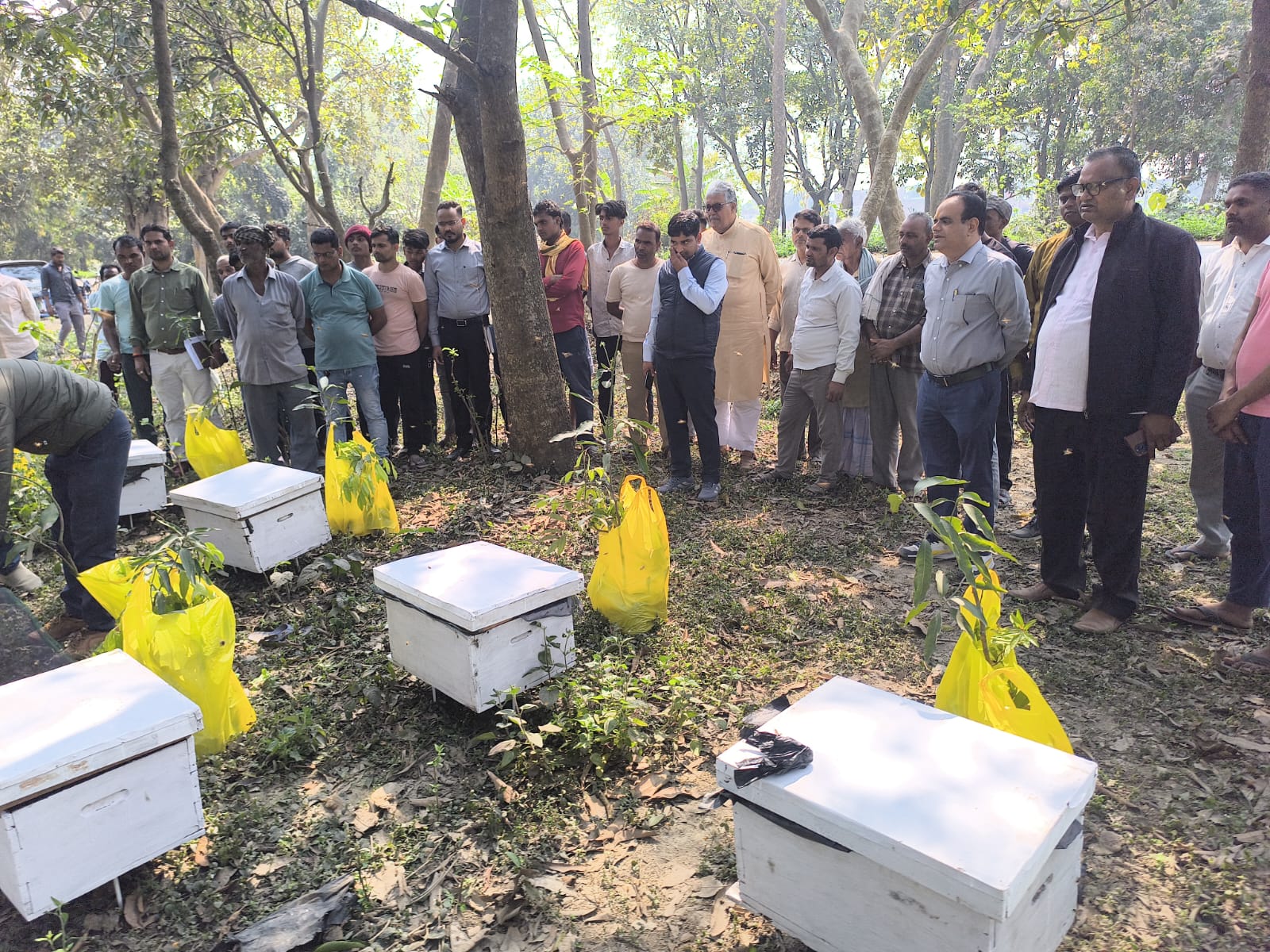 मौन पालन एवं पौधों का वितरण किया गया