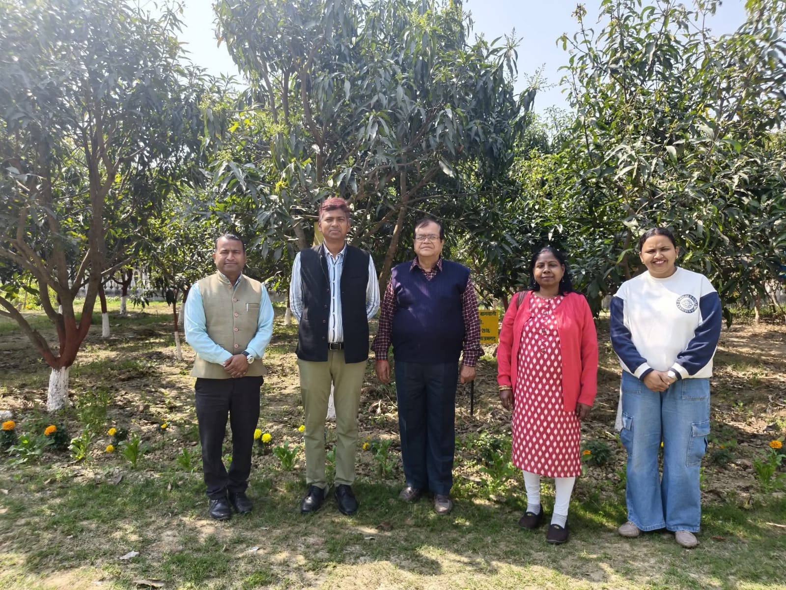 आम के बागों का रखे ध्यान, कीट रोग से न हो नुकसान