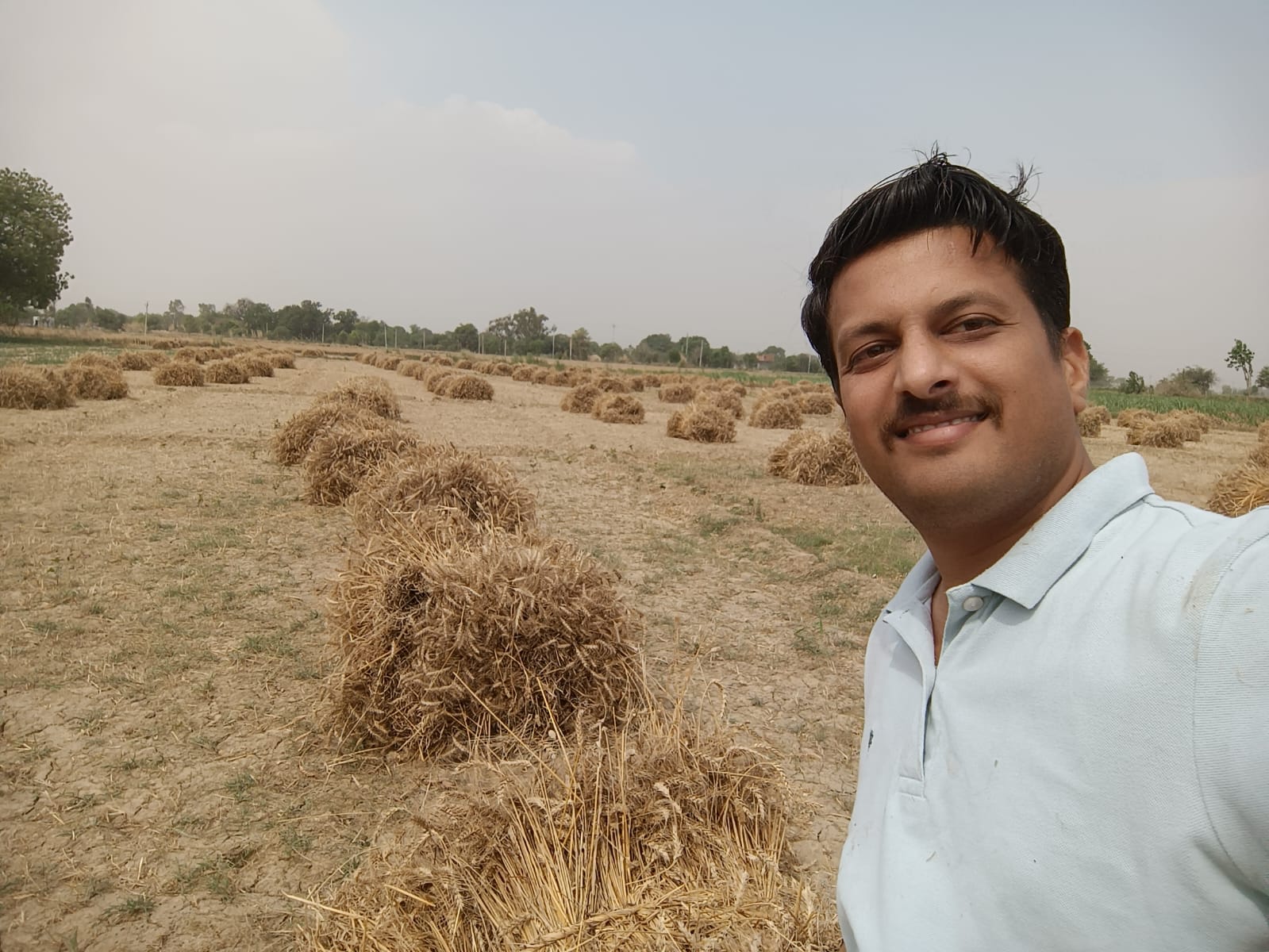 “मंडी से आगे की सोच: खेतिहर समृद्धि के नये मॉडल